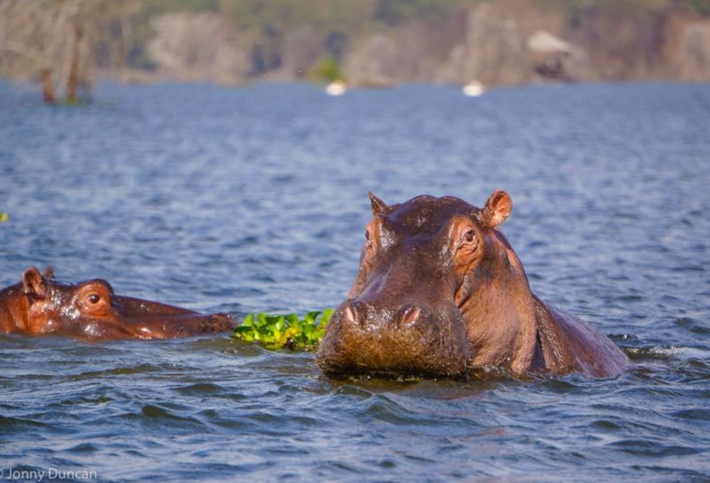 Lake Naivasha und Crescent Island